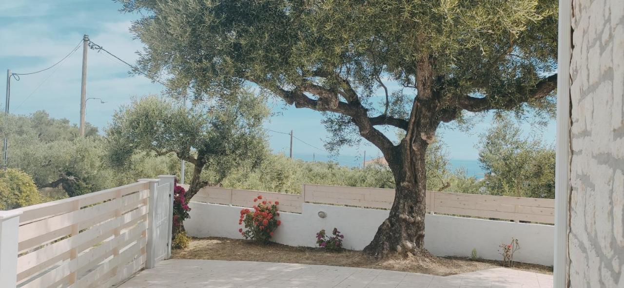 Villa Zante Avia Planos  Luaran gambar